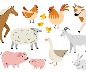 Домашні тварини англійською.